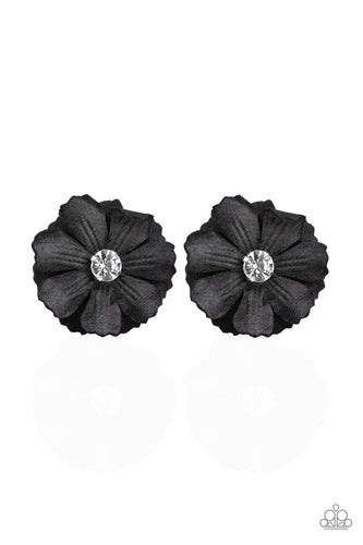 Candid Carnations - Black